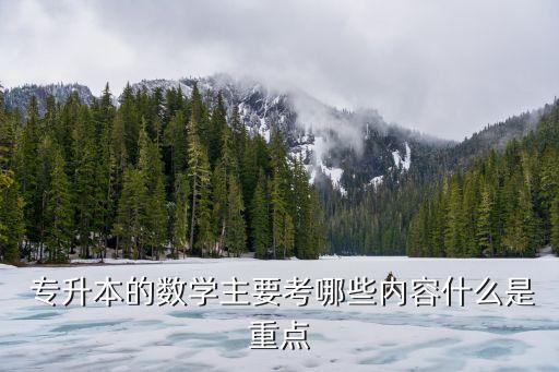  專升本的數學主要考哪些內容什么是重點