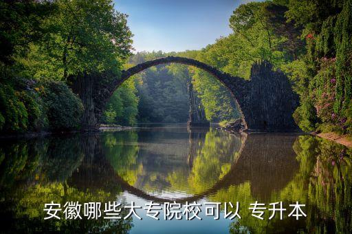 安徽哪些大專院?？梢?專升本