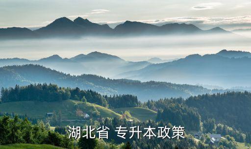  湖北省 專升本政策
