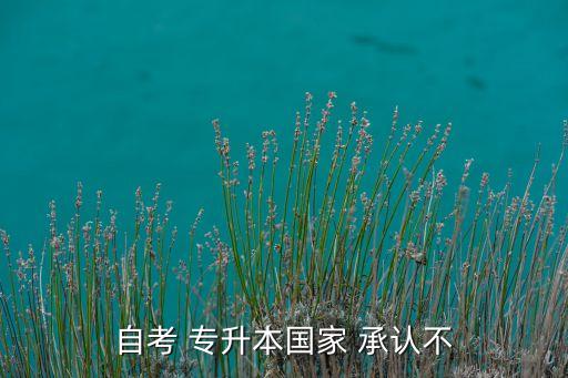 自考 專升本國家 承認(rèn)不