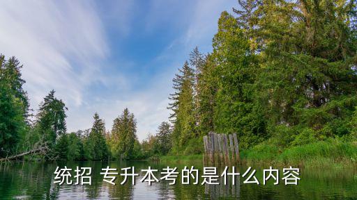 貴州專升本語(yǔ)文真題及答案,2022貴州專升本語(yǔ)文真題及答案解析