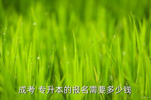 成考 專升本的報(bào)名需要多少錢