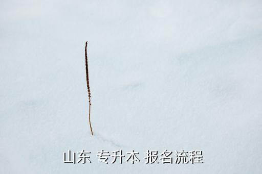 山東中醫(yī)藥專升本什么時候報(bào)名時間,山東成人專升本報(bào)名時間2022