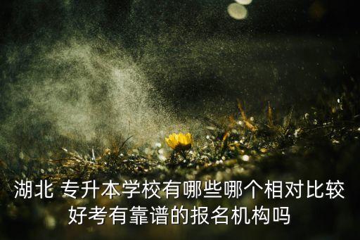 湖北 專升本學校有哪些哪個相對比較好考有靠譜的報名機構嗎