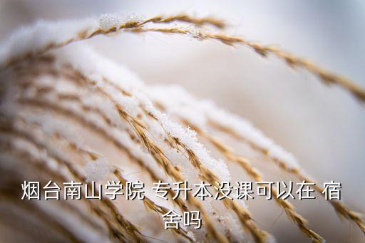 煙臺(tái)南山學(xué)院 專升本沒(méi)課可以在 宿舍嗎