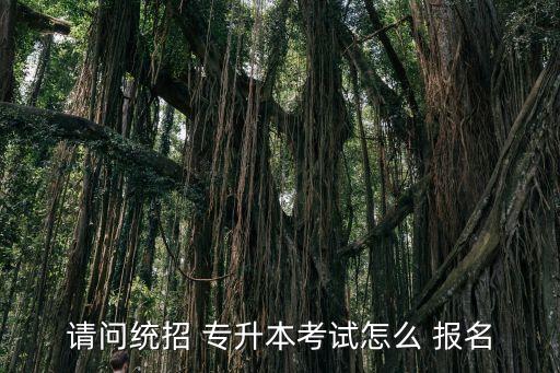 請(qǐng)問(wèn)統(tǒng)招 專升本考試怎么 報(bào)名