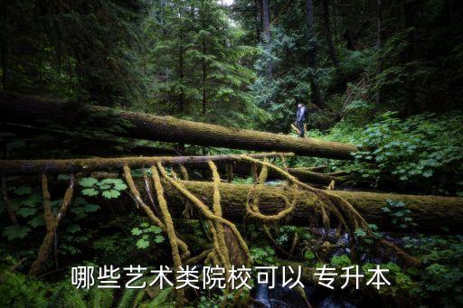 哪些藝術(shù)類院?？梢?專升本