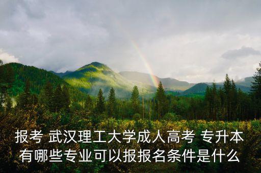 武漢理工大學專升本網(wǎng)絡教育網(wǎng)