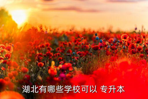湖北有哪些學(xué)?？梢?專升本