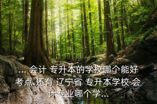 ... 會計(jì) 專升本的學(xué)校哪個(gè)能好考點(diǎn).還有 遼寧省 專升本學(xué)校 會計(jì)專業(yè)哪個(gè)學(xué)...