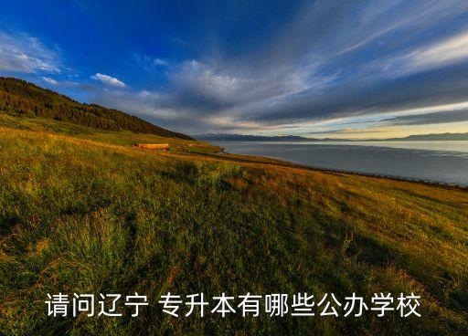 請問遼寧 專升本有哪些公辦學校