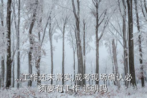 ...工作還未落實,成考現(xiàn)場確認(rèn)必須要有工作 證明嗎