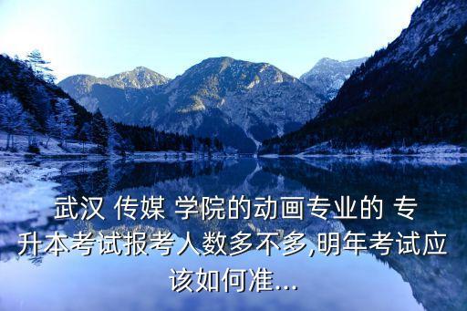  武漢 傳媒 學(xué)院的動(dòng)畫專業(yè)的 專升本考試報(bào)考人數(shù)多不多,明年考試應(yīng)該如何準(zhǔn)...
