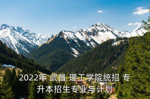 武昌理工學院專升本的成績查詢