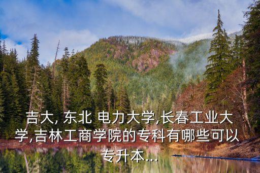 吉大, 東北 電力大學(xué),長春工業(yè)大學(xué),吉林工商學(xué)院的?？朴心男┛梢?專升本...