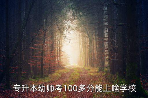  專升本幼師考100多分能上啥學校