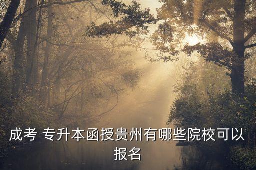 六盤(pán)水專(zhuān)升本培訓(xùn)學(xué)校