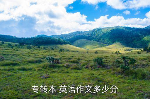 專轉(zhuǎn)本 英語(yǔ)作文多少分