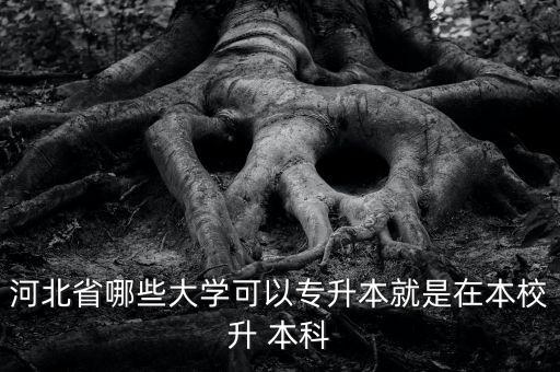 河北省哪些大學可以專升本就是在本校升 本科