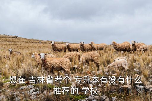 想在 吉林省考個(gè) 專升本有沒有什么推薦的 學(xué)校