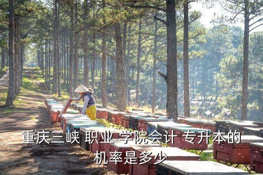 重慶三峽 職業(yè) 學(xué)院會(huì)計(jì) 專(zhuān)升本的機(jī)率是多少