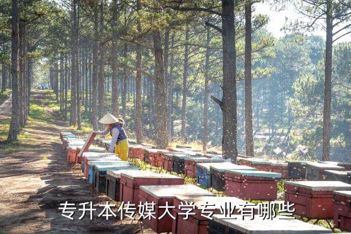 專升本傳媒大學(xué)專業(yè)有哪些