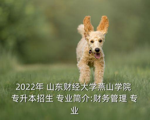 2022年 山東財經(jīng)大學(xué)燕山學(xué)院 專升本招生 專業(yè)簡介:財務(wù)管理 專業(yè)