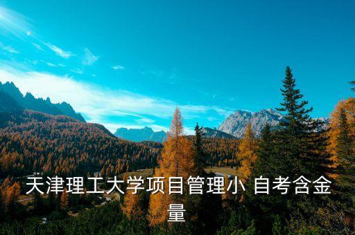 天津理工大學(xué)項目管理小 自考含金量