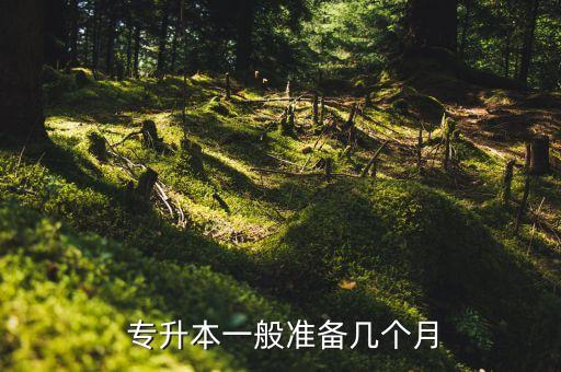  專升本一般準(zhǔn)備幾個(gè)月