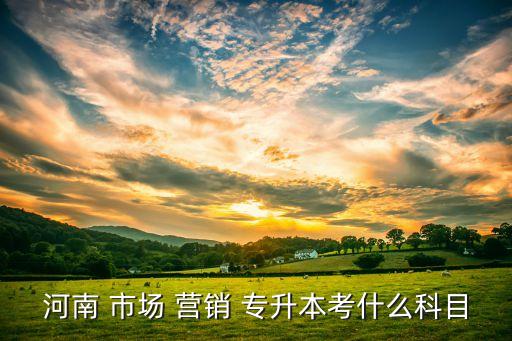 河南 市場(chǎng) 營(yíng)銷(xiāo) 專(zhuān)升本考什么科目