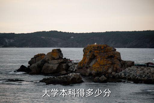 大學本科得多少分