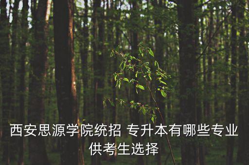西安思源學(xué)院統(tǒng)招 專升本有哪些專業(yè)供考生選擇