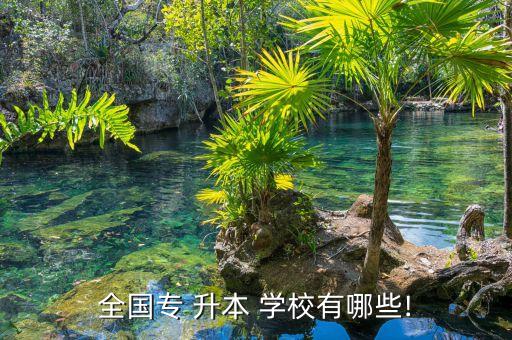 全國(guó)專 升本 學(xué)校有哪些!