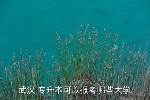 漢口學(xué)院有沒有專升本