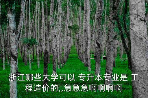 浙江哪些大學(xué)可以 專升本專業(yè)是 工程造價(jià)的,,急急急啊啊啊啊
