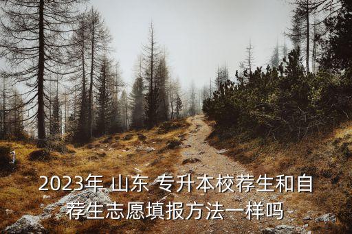 2023年 山東 專升本校薦生和自薦生志愿填報(bào)方法一樣嗎