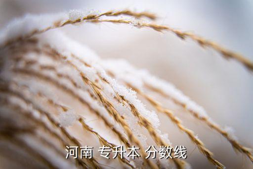河南 專升本 分?jǐn)?shù)線