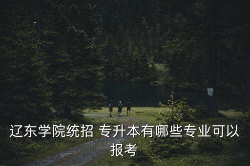 遼寧專(zhuān)升本計(jì)算機(jī)幻燈片,2022年遼寧專(zhuān)升本計(jì)算機(jī)真題