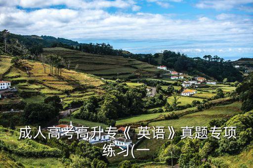  成人高考高升?！?英語(yǔ)》真題專項(xiàng)練習(xí)(一