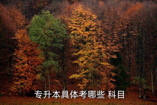 大學(xué)生專(zhuān)升本考試科目,天津?qū)Ｉ究荚嚳颇? /></a><a href=