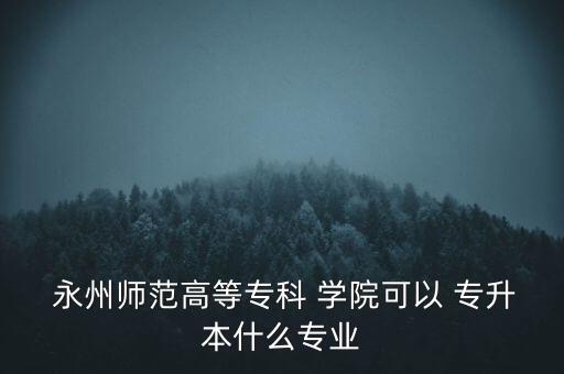  永州師范高等?？?學院可以 專升本什么專業(yè)