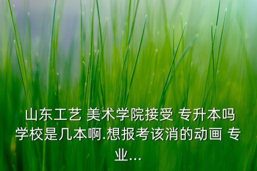  山東工藝 美術(shù)學(xué)院接受 專升本嗎學(xué)校是幾本啊.想報考該消的動畫 專業(yè)...