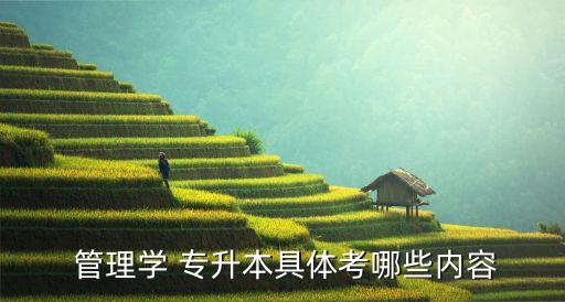 經(jīng)濟(jì)管理學(xué)專升本,專升本管理類有哪些專業(yè)