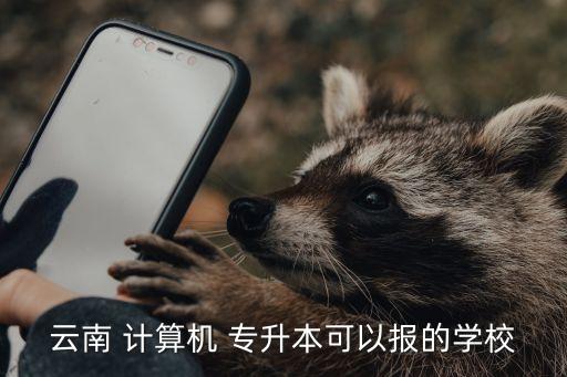 云南 計算機 專升本可以報的學校