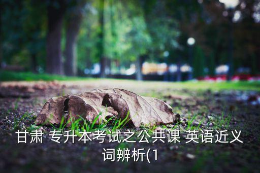 甘肅 專升本考試之公共課 英語近義詞辨析(1