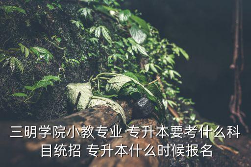 三明學(xué)院小教專業(yè) 專升本要考什么科目統(tǒng)招 專升本什么時(shí)候報(bào)名