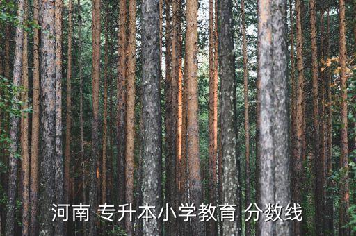 河南 專升本小學教育 分數(shù)線