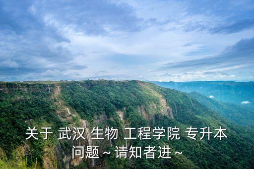武漢生物工程學院可以專升本嗎