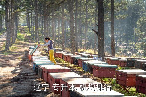 遼寧 專升本 機(jī)構(gòu)排行