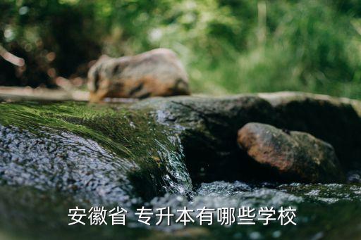  安徽省 專升本有哪些學(xué)校